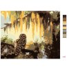 Malowanie po numerach - SOWA I DRZEWA (D. RUSTY RUST)