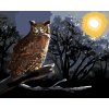 Malowanie po numerach - SOWA NA GAŁĘZI NOCĄ (D. RUSTY RUST)