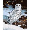 Malowanie po numerach - SOWA ŚNIEŻNA ZIMĄ (D. RUSTY RUST)