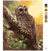 Malowanie po numerach - SOWA NA DRZEWIE (D. RUSTY RUST)