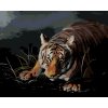 Malowanie po numerach - TYGRYS CZAJĄCY SIĘ W CIEMNOŚCI (D. RUSTY RUST)
