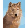 Malowanie po numerach - PORTRET WILKA III (D. RUSTY RUST)