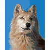 Malowanie po numerach - PORTRET WILKA I (D. RUSTY RUST)