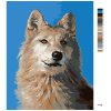 Malowanie po numerach - PORTRET WILKA I (D. RUSTY RUST)