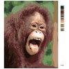 Malowanie po numerach - ORANGUTAN II