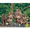 Malowanie po numerach - CZTERY MAŁPY Z BANANAMI