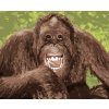 Malowanie po numerach - ŚMIEJĄCY SIĘ ORANGUTAN