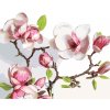 Malowanie po numerach - MAGNOLIE KWITNĄCE WIOSNĄ