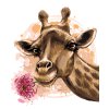 Malowanie po numerach - ŻYRAFA Z GERBERĄ