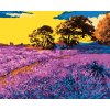 Malowanie po numerach - LAWENDOWE POLE Z DRZEWAMI