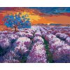 Malowanie po numerach - POLE LAWENDY O ZACHODZIE SŁOŃCA II