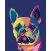 Malowanie po numerach - BULDOG W STYLU POP-ART
