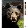 Malowanie po numerach - PORTRET NIEDŹWIEDŹIA (D. RUSTY RUST)