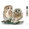 Malowanie po numerach - DWIE SOWY NA BIAŁYM TLE