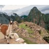 Malowanie po numerach - LAMA I MACHU PICCHU