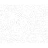 Malowanie po numerach - RYBA I GRAFFITI (Wariant płótno bez ramy, Rozmiar 40x50 cm)