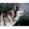 Malowanie po numerach - HUSKY (Wariant płótno bez ramy, Rozmiar 40x50 cm)