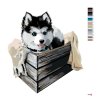 Malowanie po numerach - HUSKY W PUDEŁKU