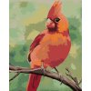 Malowanie po numerach - CZERWONY PTAK 2 (MYROSLAVA VOLOSCHUK)