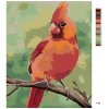 Malowanie po numerach - CZERWONY PTAK 2 (MYROSLAVA VOLOSCHUK)