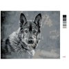 Malowanie po numerach - WILK NA SZARYM TLE