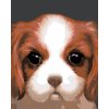 Malowanie po numerach - PIES - CAVALIER KING CHARLES SPANIEL (MYROSLAVA VOLOSCHUK)