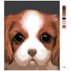 Malowanie po numerach - PIES - CAVALIER KING CHARLES SPANIEL (MYROSLAVA VOLOSCHUK)
