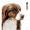 Malowanie po numerach - COCKER SPANIEL (MYROSLAVA VOLOSCHUK)
