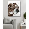 Malowanie po numerach - BULDOG (MYROSLAVA VOLOSCHUK)