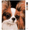 Malowanie po numerach - PIES PAPILLON (MYROSLAVA VOLOSCHUK)