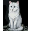 Malowanie po numerach - BIAŁY KOT 2 (MYROSLAVA VOLOSCHUK)