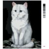 Malowanie po numerach - BIAŁY KOT 2 (MYROSLAVA VOLOSCHUK)