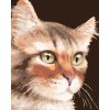 Malowanie po numerach - KOT PRĘGOWANY (MYROSLAVA VOLOSCHUK)