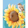 Malowanie po numerach - SŁONECZNIK (MYROSLAVA VOLOSCHUK)