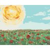 Malowanie po numerach - SŁOŃCE NAD POLEM MAKÓW
