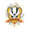 Malowanie po numerach - HUFFLEPUFF (HARRY POTTER)