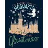 Malowanie po numerach - BOŻE NARODZENIE W HOGWARCIE (HARRY POTTER)
