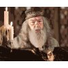 Malowanie po numerach - DUMBLEDORE NA MÓWNICY SOWY (HARRY POTTER)
