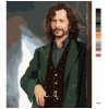 Malowanie po numerach - SIRIUS BLACK (HARRY POTTER)