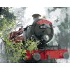 Malowanie po numerach - EKSPRES DO HOGWARTU W DRODZE (HARRY POTTER)