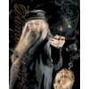Malowanie po numerach - PLAKAT - DUMBLEDORE I LORD VOLDEMORT (HARRY POTTER)