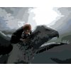 Malowanie po numerach - HARRY POTTER LATAJĄCY NA HIPOGRYFIE