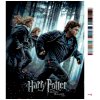 Malowanie po numerach - HARRY POTTER I RELIKWIA ŚMIERCI