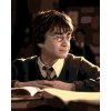 Malowanie po numerach - HARRY POTTER Z KSIĄŻKĄ