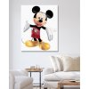 Malowanie po numerach - MYSZKA MICKEY NA BIAŁYM TLE