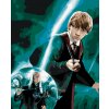 Malowanie po numerach - HARRY POTTER I ZAKON FENIKSA PLAKAT - RON