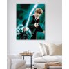 Malowanie po numerach - HARRY POTTER I ZAKON FENIKSA PLAKAT - RON