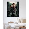 Malowanie po numerach - HARRY POTTER I RELIKWIA ŚMIERCI PLAKAT - HERMIONA