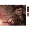 Malowanie po numerach - HARRY POTTER W POJEDYNKU Z VOLDEMORTEM