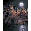 Malowanie po numerach - UCZNIOWIE PŁYNĄCY DO HOGWARTU (HARRY POTTER)